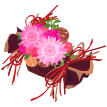 candyflower.png